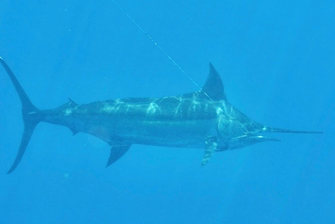 THE TRIP WINNER – Islamorada, Florida Keys!