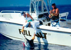 Although tunas comprise the general target of the WWB, the tactic also takes other gamefish, including blue marlin.