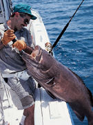 Precision Anchoring Tactics Precision Anchoring Tactics