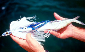 Placing a plastic skirt or blunt-headed trolling lure ahead of a natural bait will help protect it from "washing out" at higher trolling speeds.