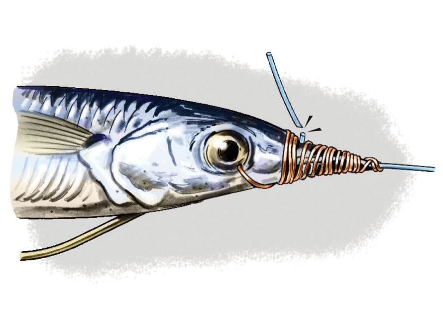 How To Troll Weedless Ballyhoo